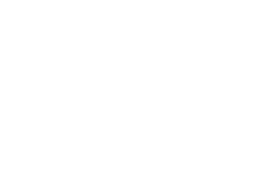 Red Iron Labs - Calgary Police