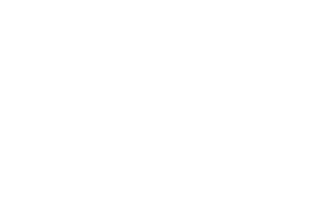Red Iron Labs - Lousiana Economic Development